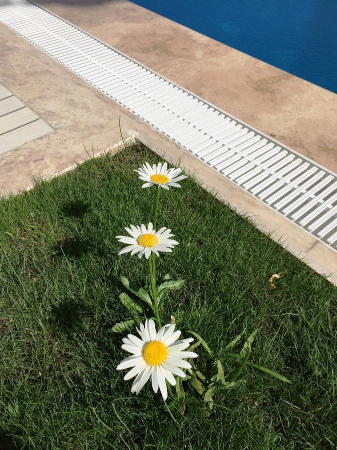 Casa Pallet Hotel (Adults Only) Dalyan Exterior photo